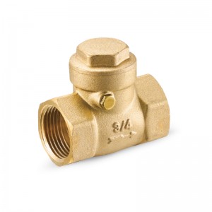 CHECK VALVES-S1017