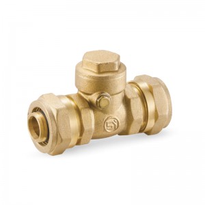 CHECK VALVES-S1053